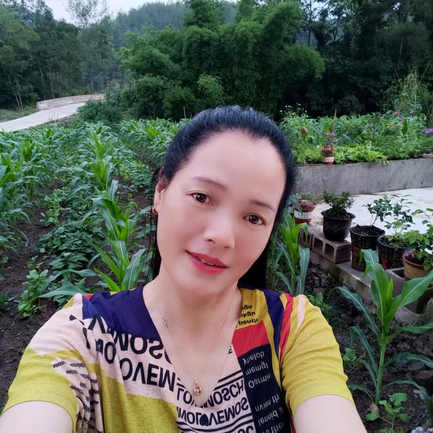 香香