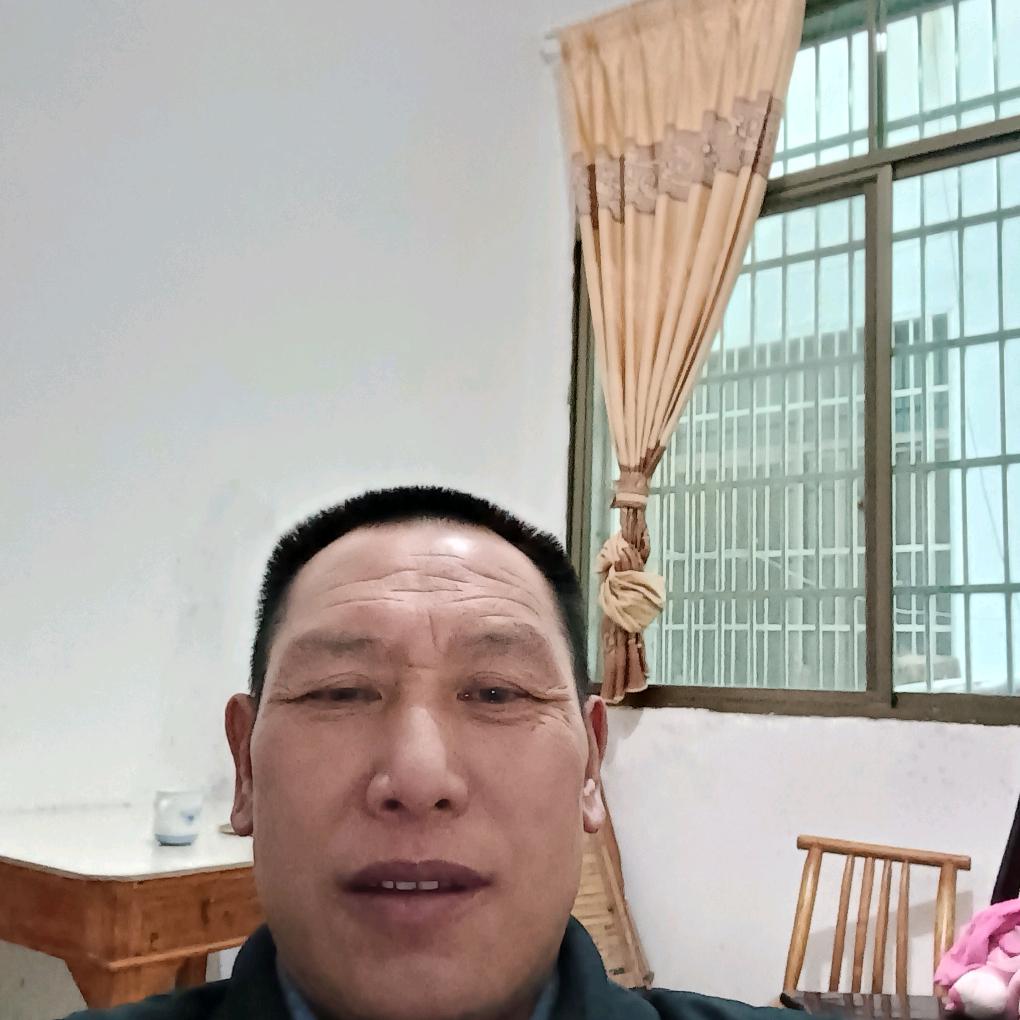 金哥$