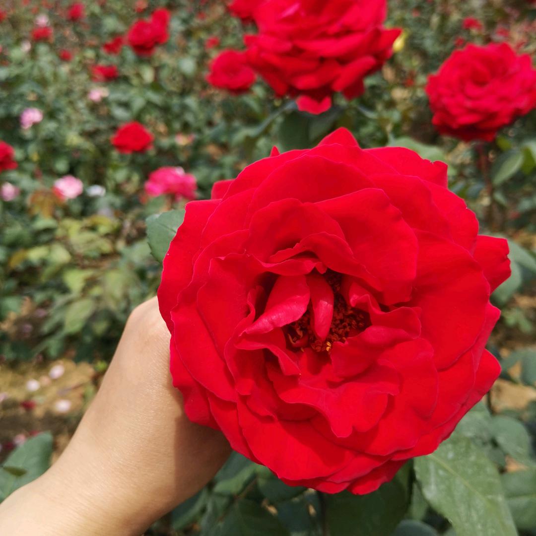 用户8924409959734山清水秀