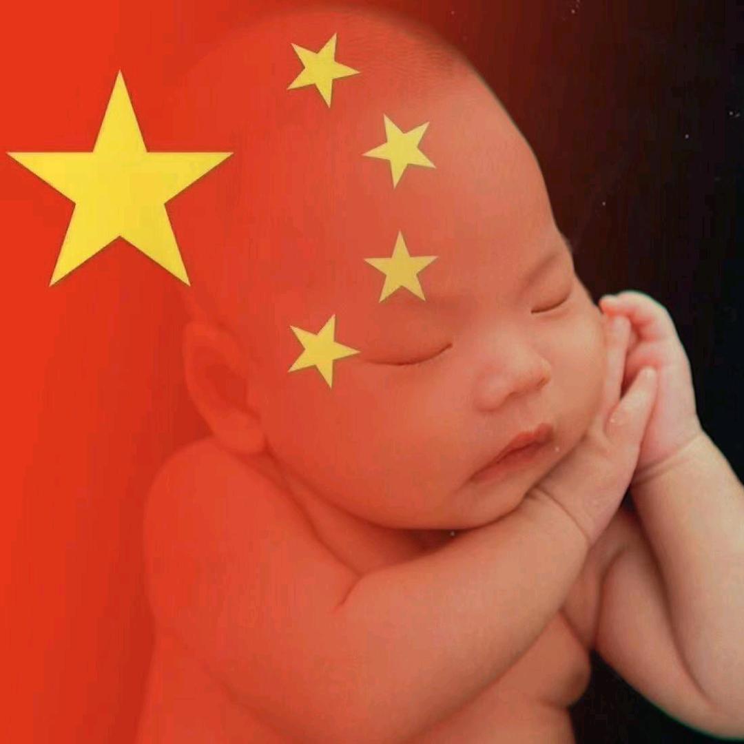 菠萝菠萝蜜我爱豆宝