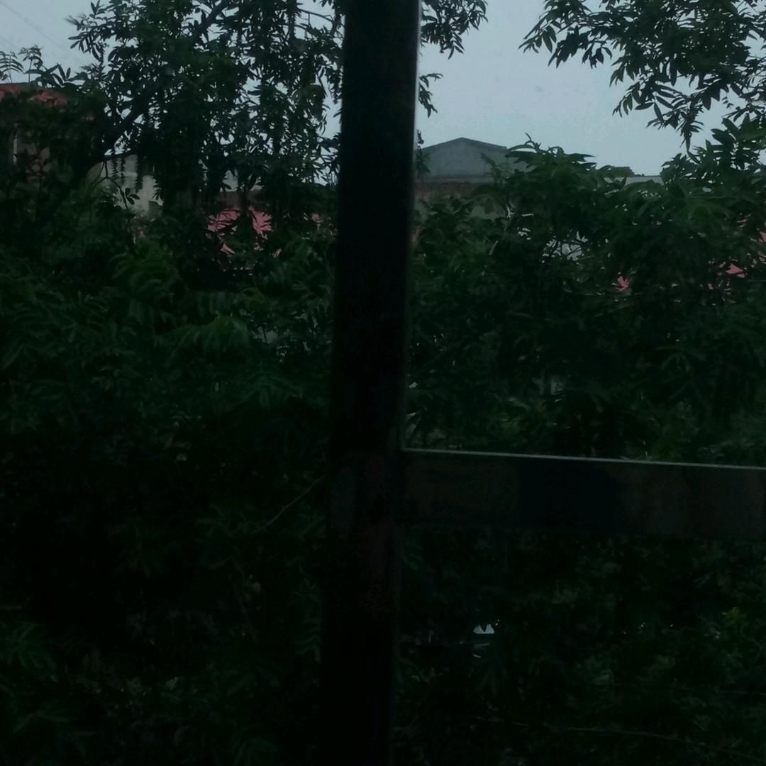 郑州情感70后杨姐