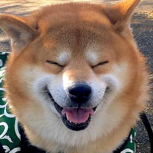 斌仔带你吃喝玩乐头像