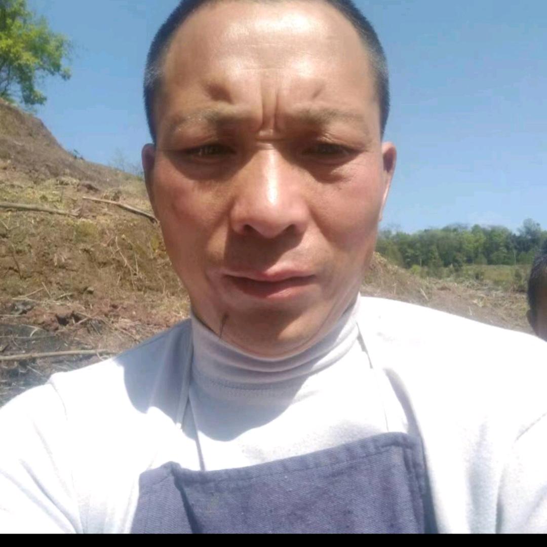 李金钢养蜜蜂