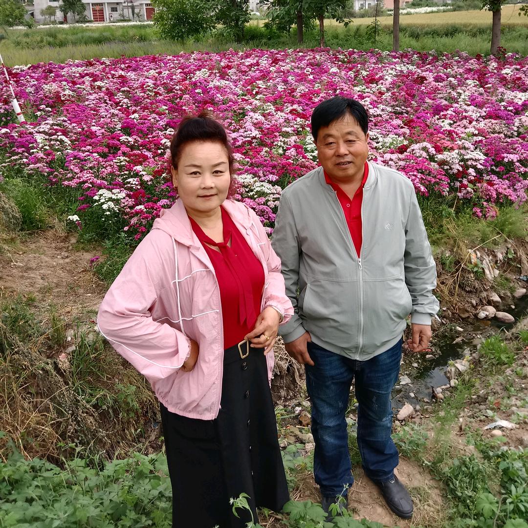 柳林镇六国化肥销售