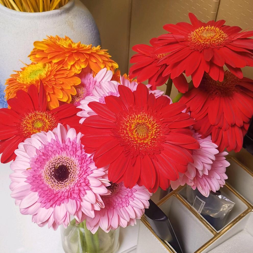 我是小芳芳