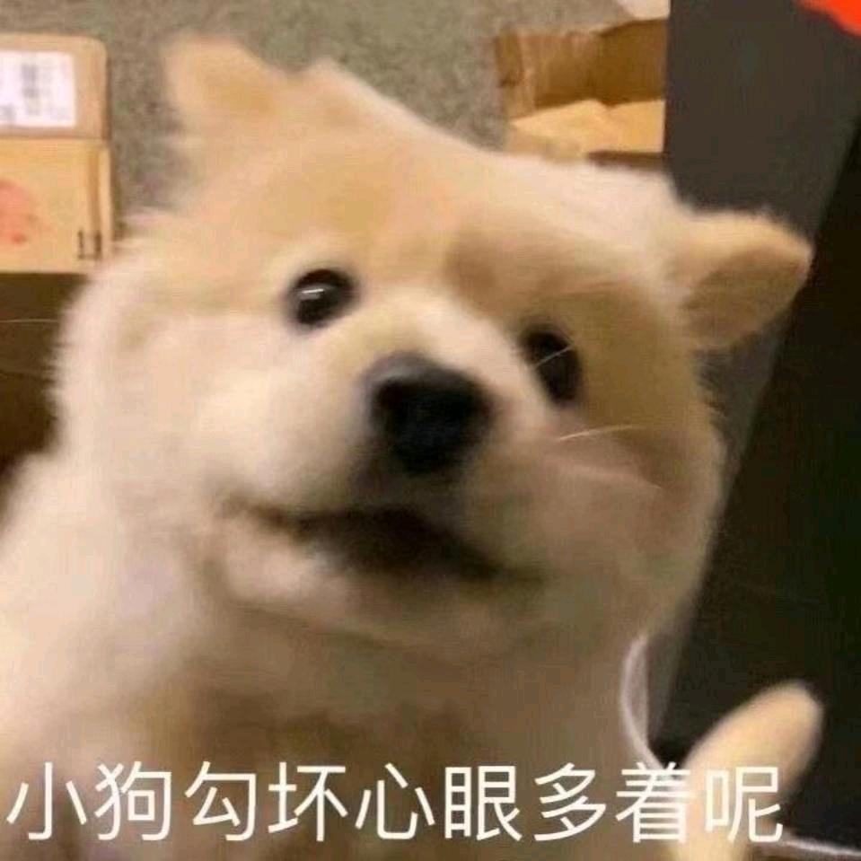 贵阳在逃洋钰粑