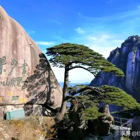 徘徊山林