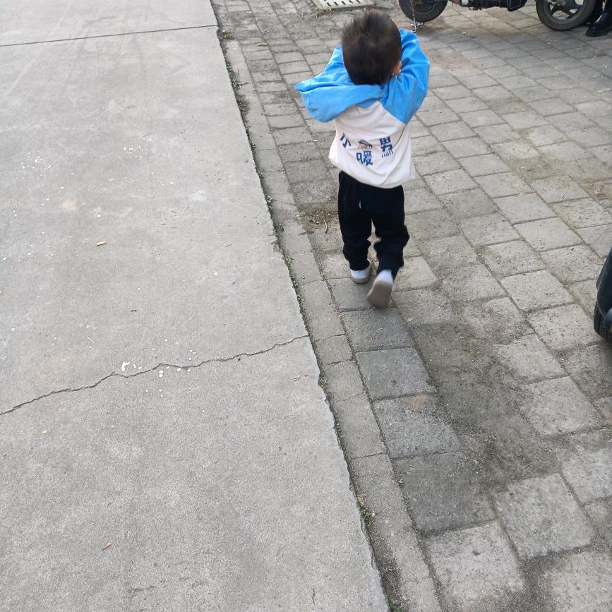 张欣晨