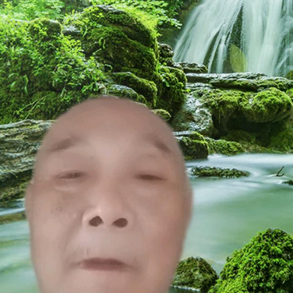 野草