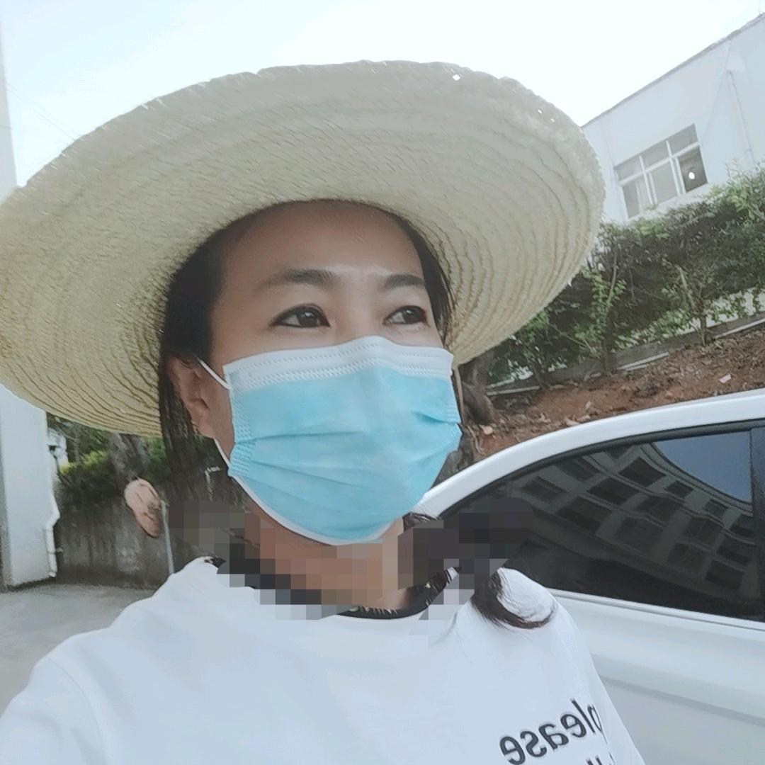 杨木子