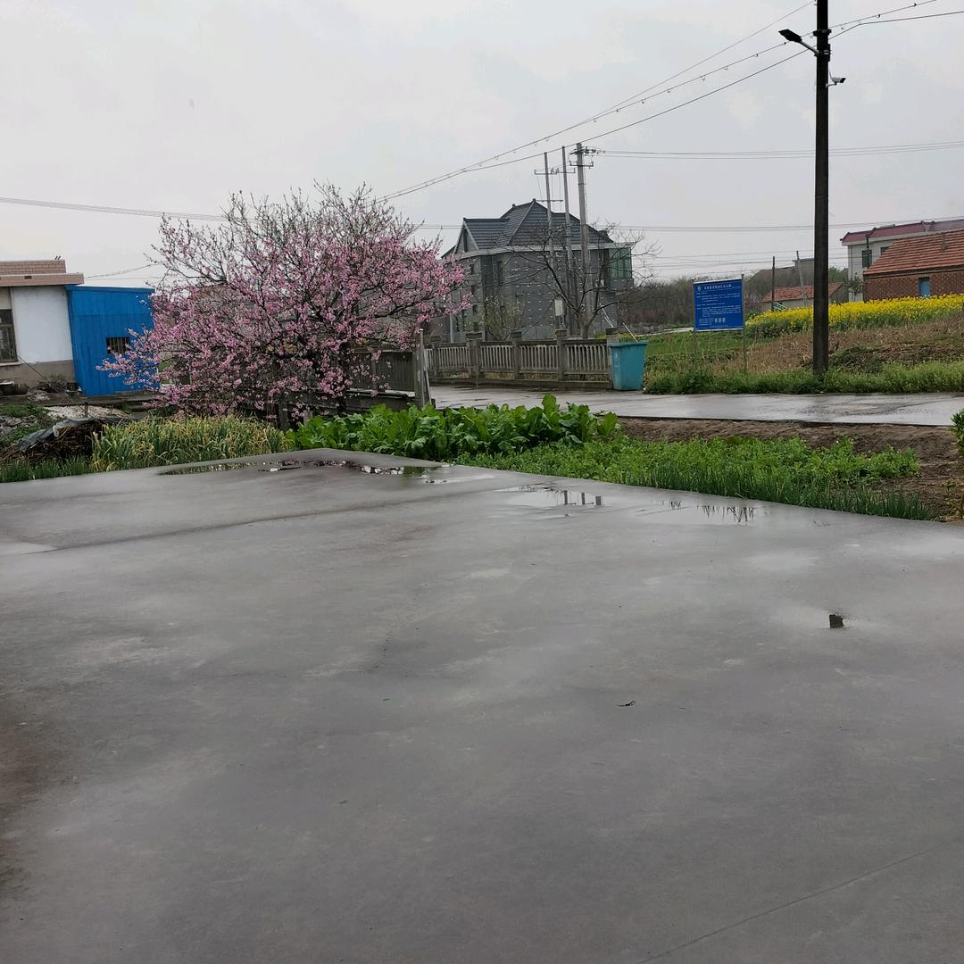 用户5978943867129