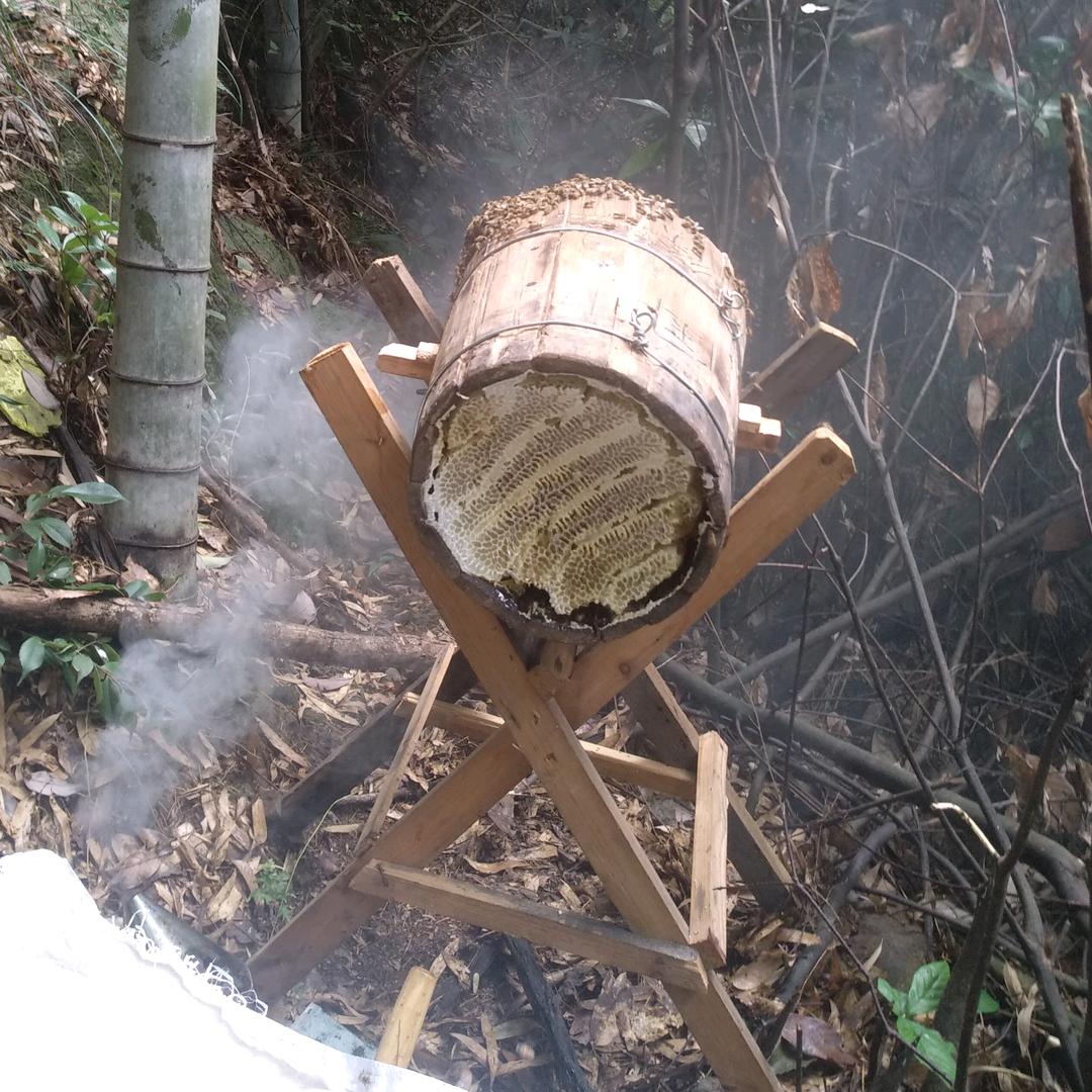 山咔啦老曾