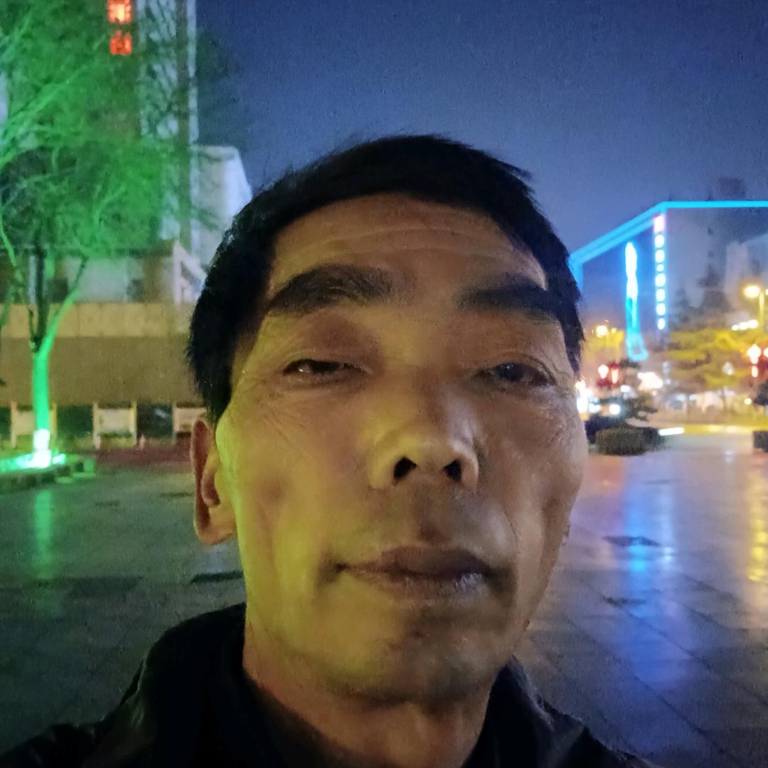 落叶虎