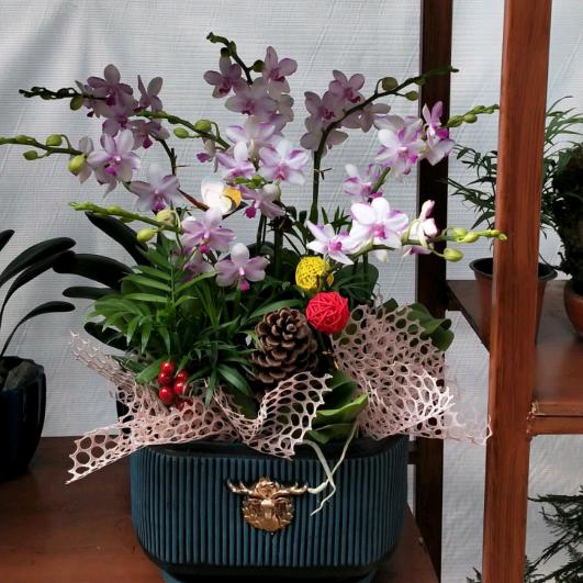 洋洋花卉景观园艺