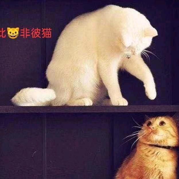 @颍淮小伙