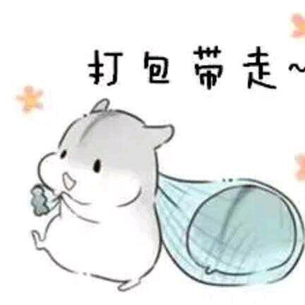 胖橘喵