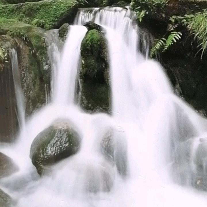 剑哥哥