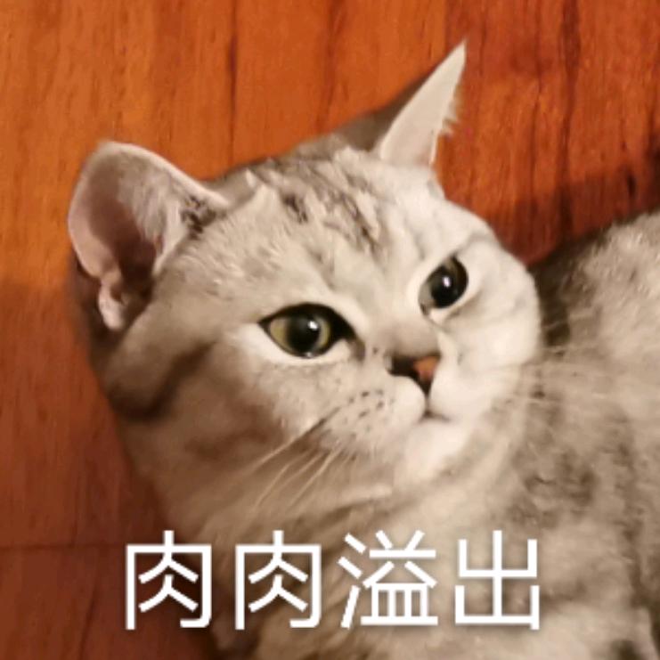 奶茶加点冰