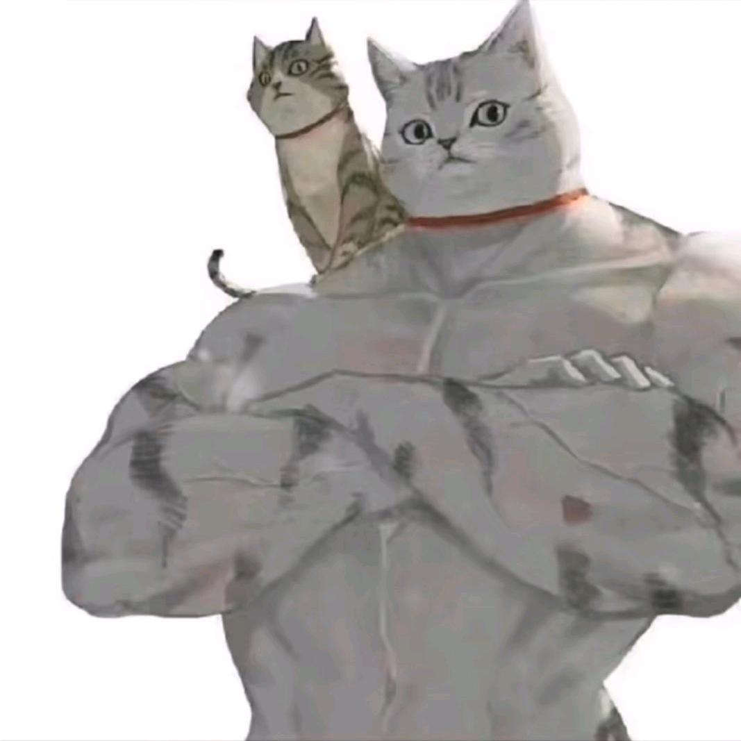 鸿♚鱼🐱
