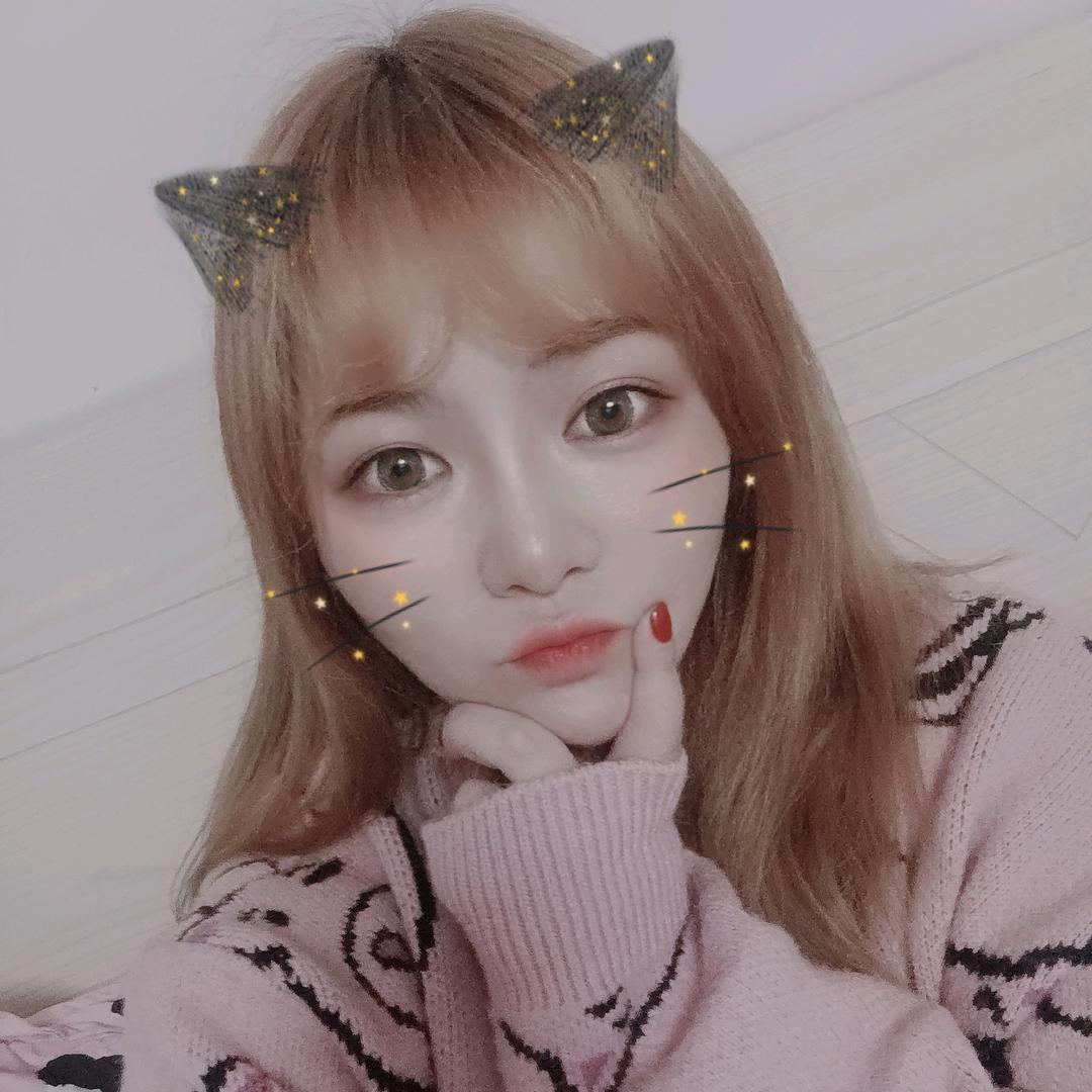 杨杨的小羊羊