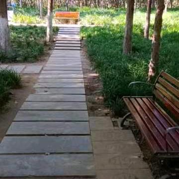 民顺教练杨教练