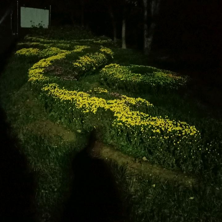 渴望