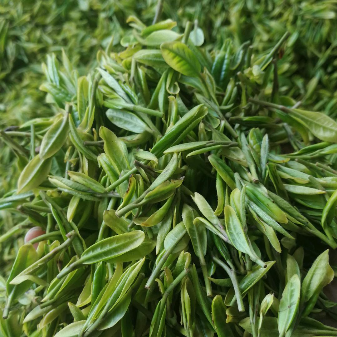 新登瀛茶社