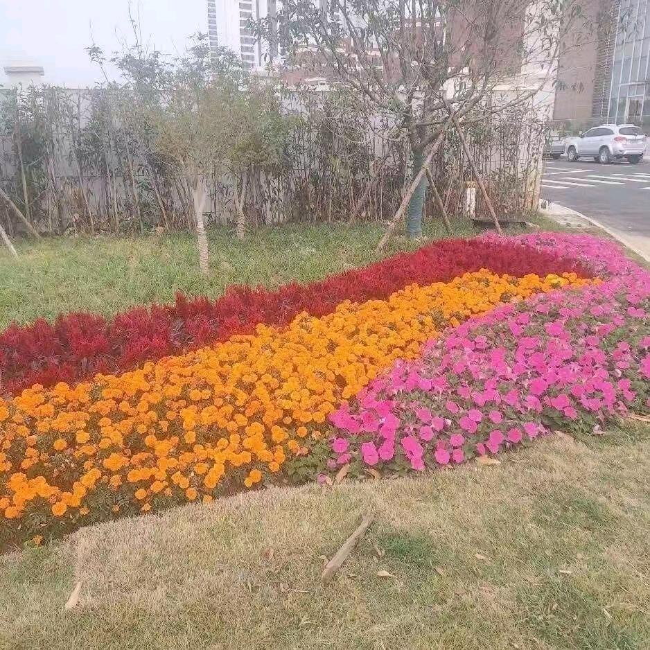 风雨同舟