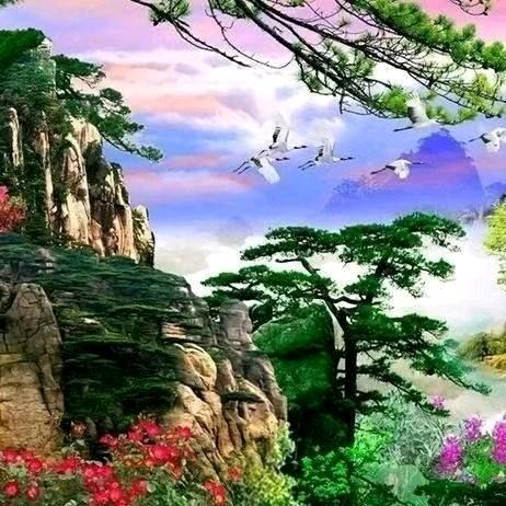 美丽大山