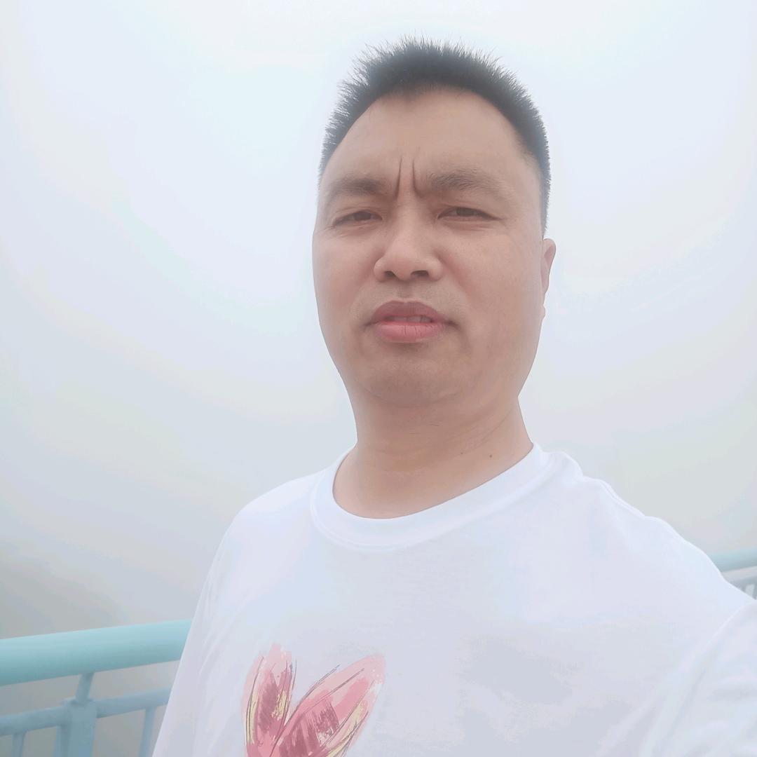 朱晶博哥