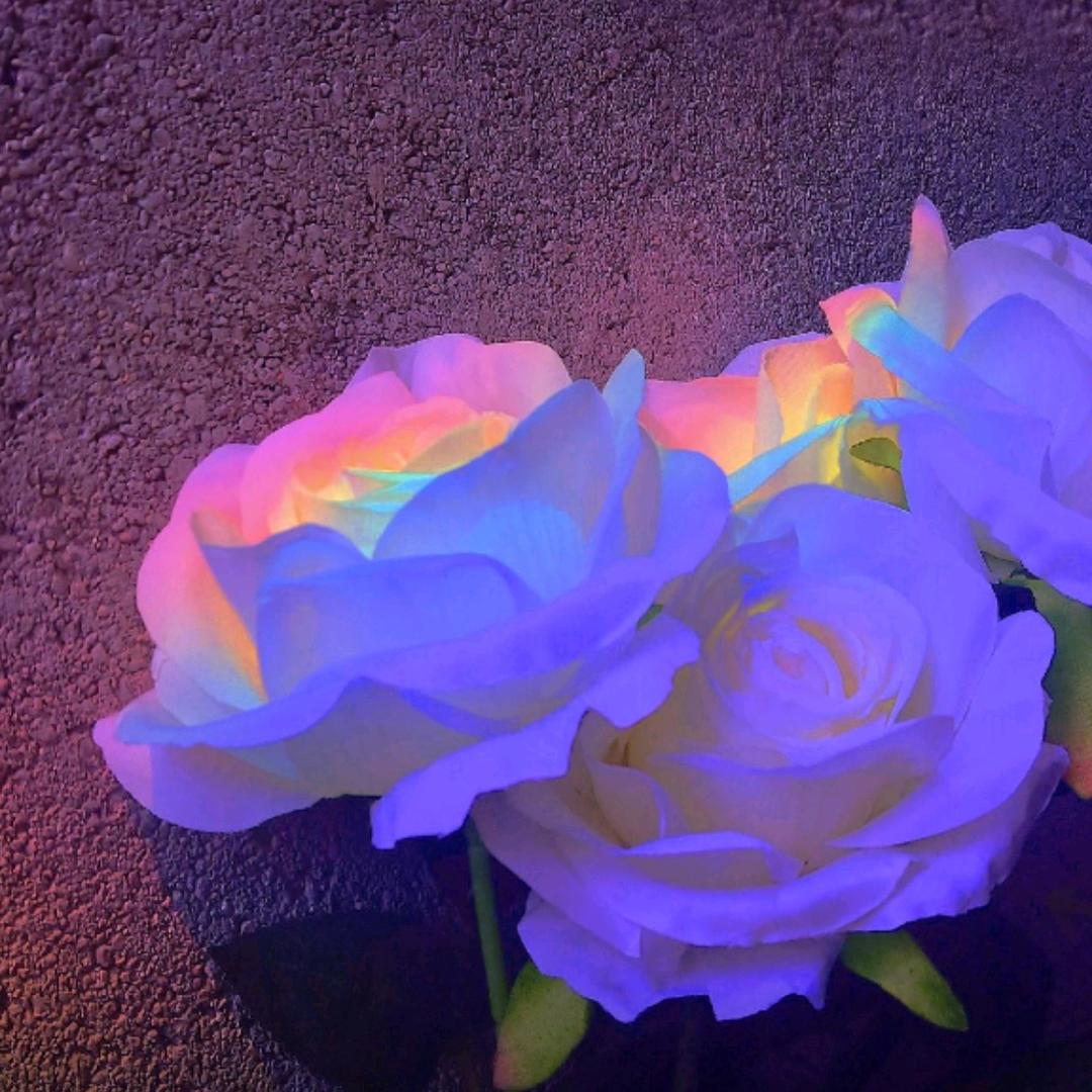 简单的运动（手机摄影）