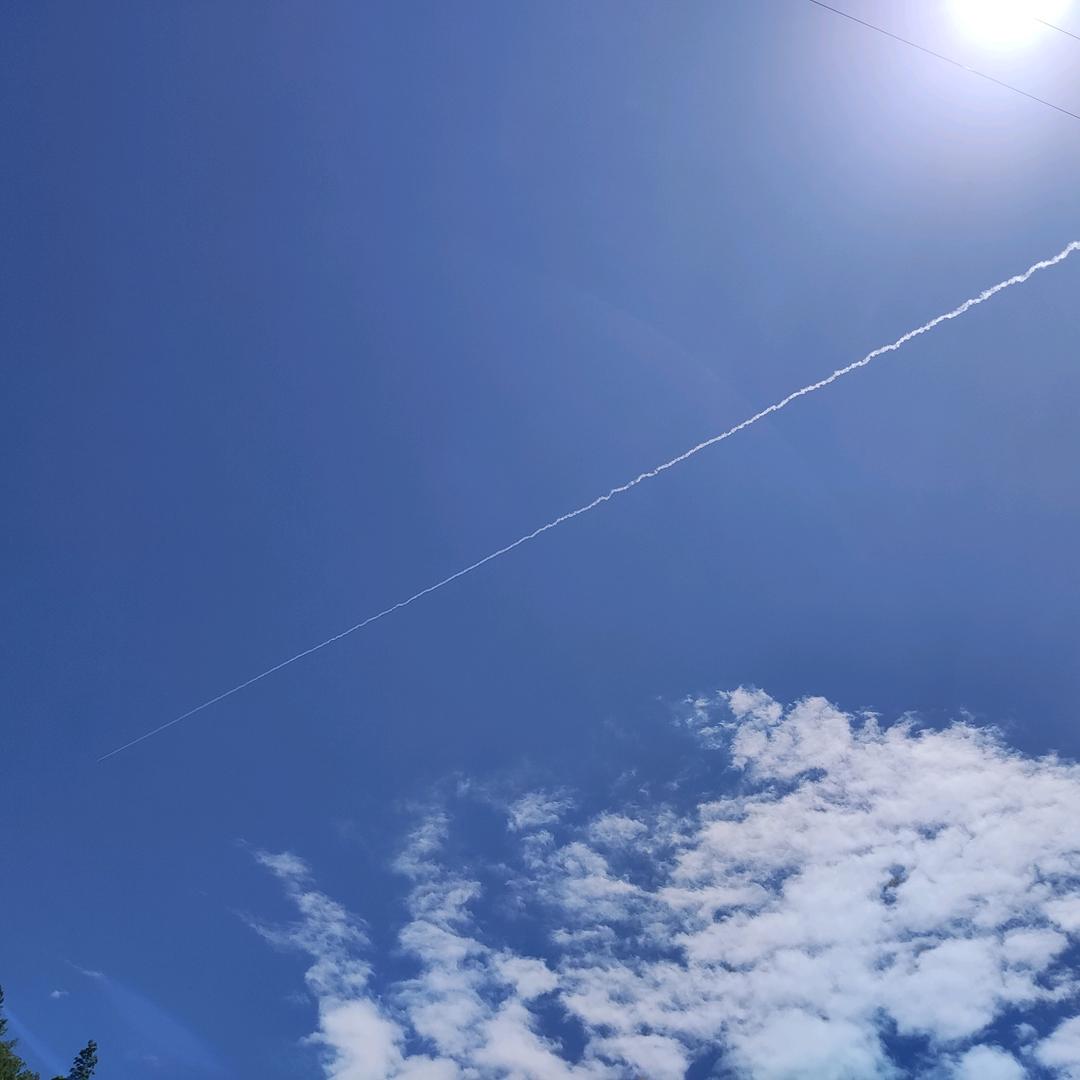零零柒