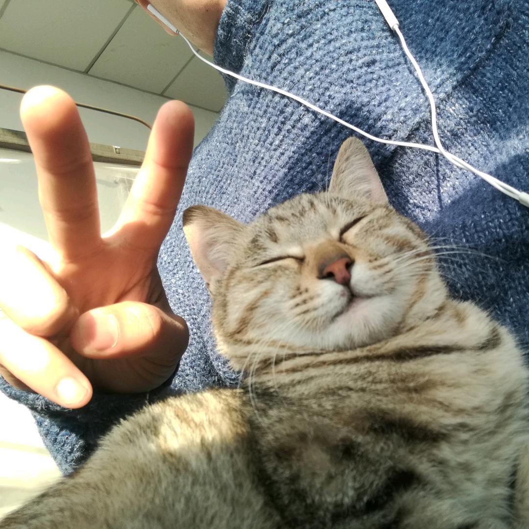 桂平彭于晏