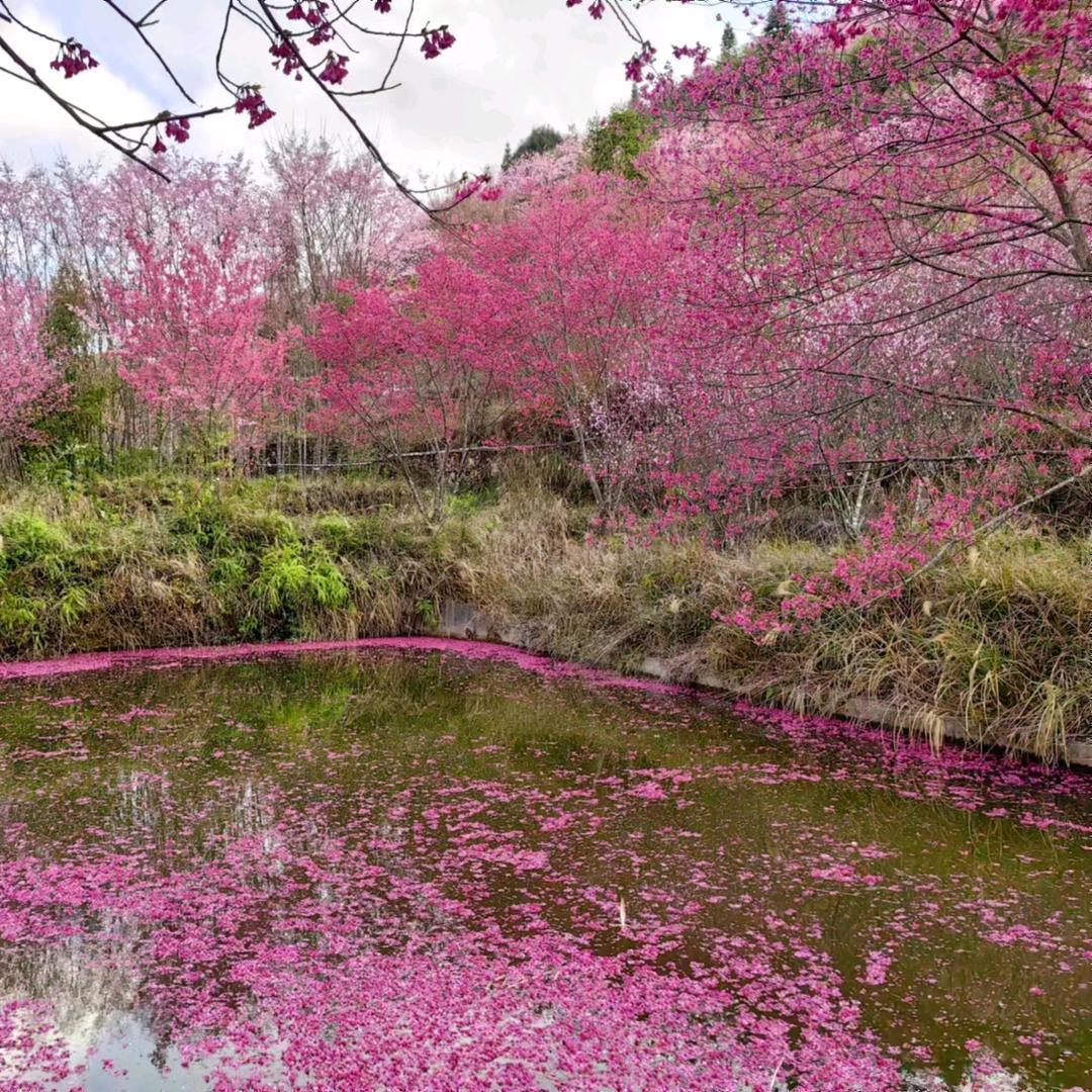 遇见❤️💛🧡