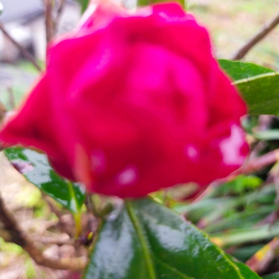 湖北恩施农村人，（李）期待美好生活，