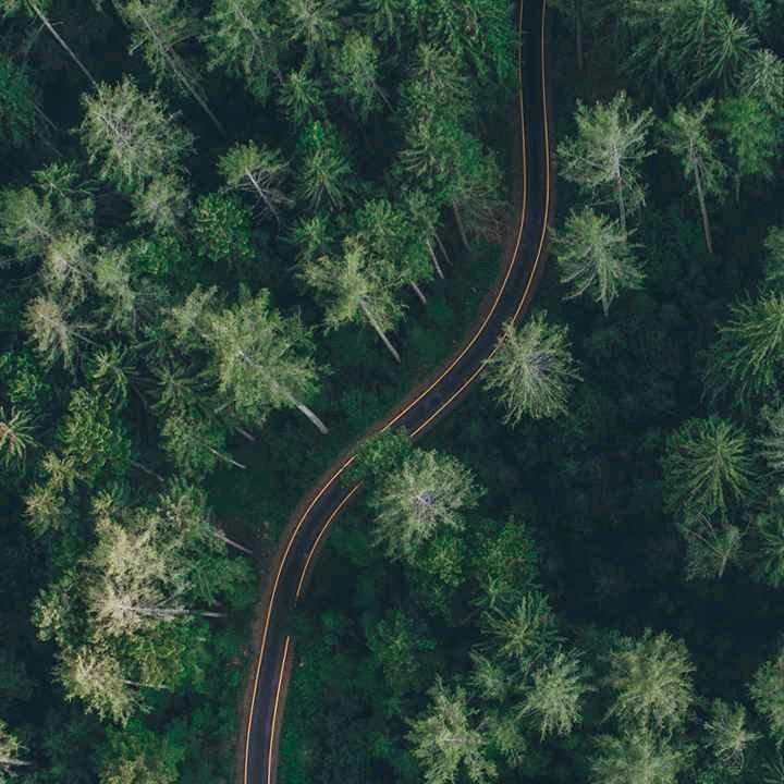 恒思复读曹老师