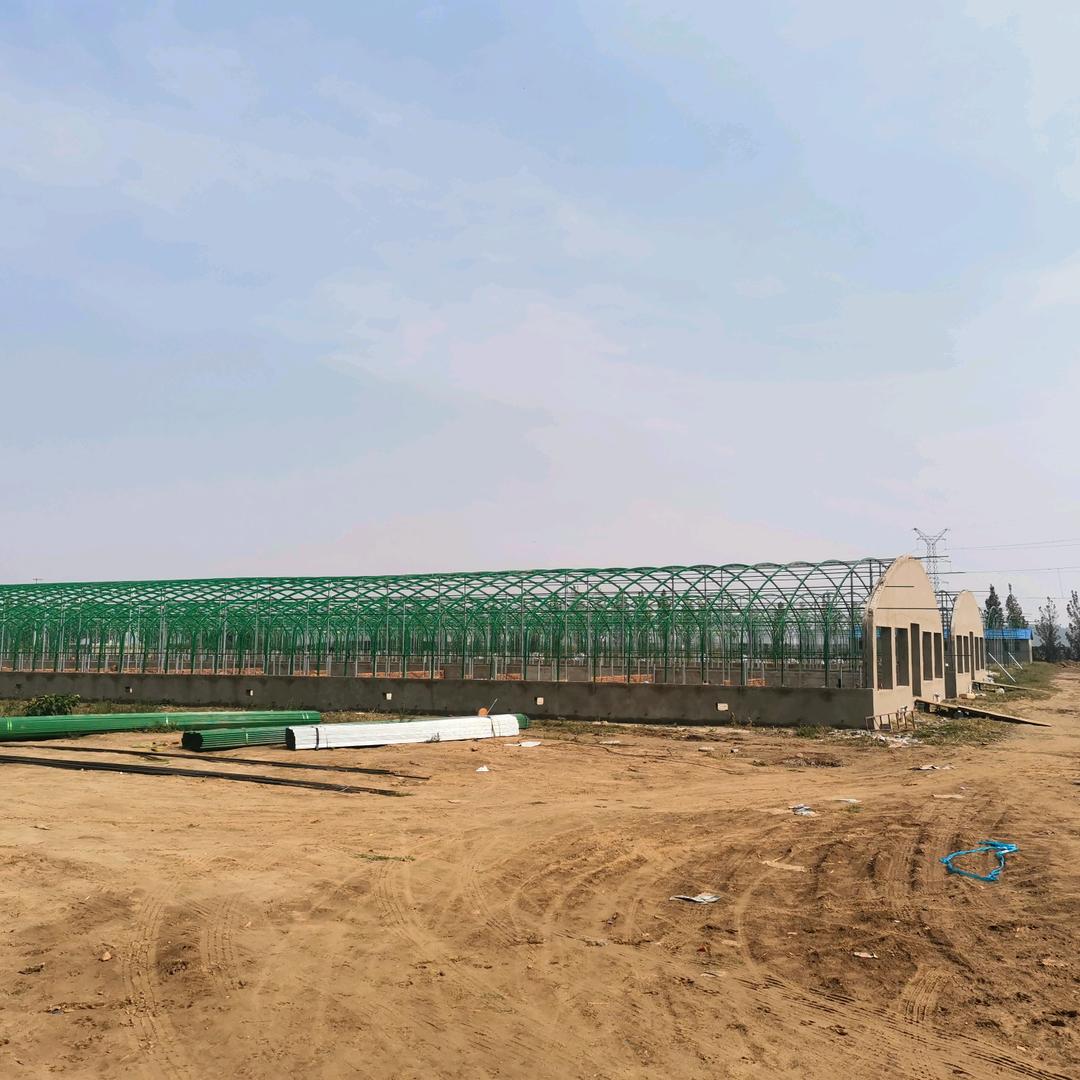 A大棚建设施工《阿飞》