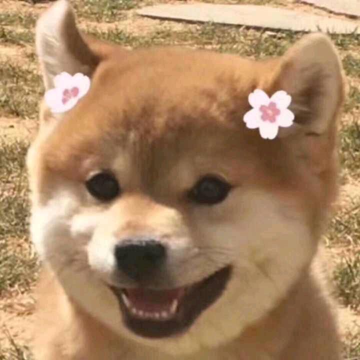 小满搞笑