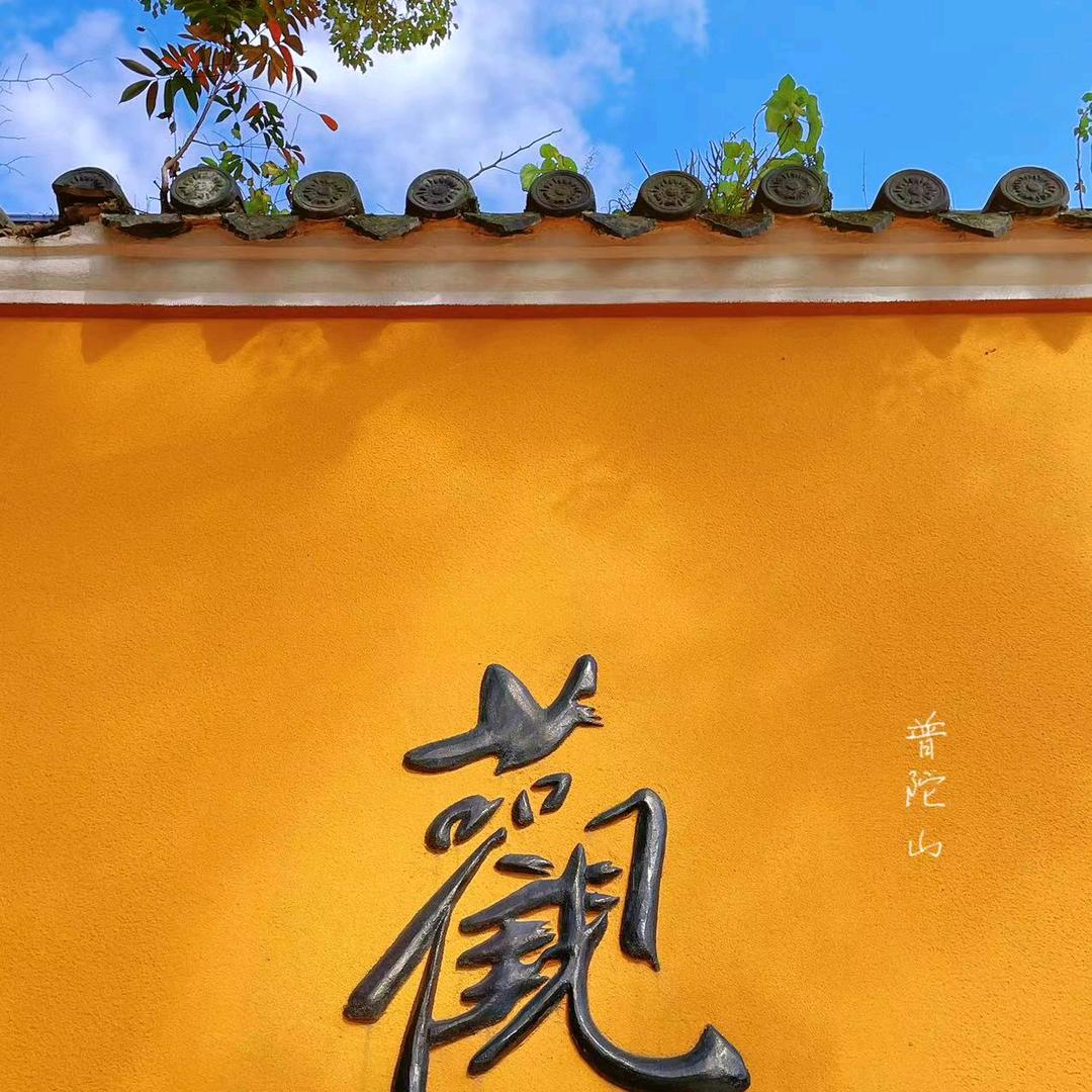 普陀山自在旅游@抖音