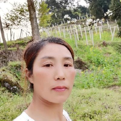 美姐家猕猴桃