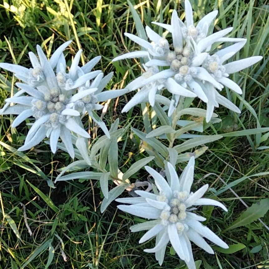 单🌹🌹💋身💋