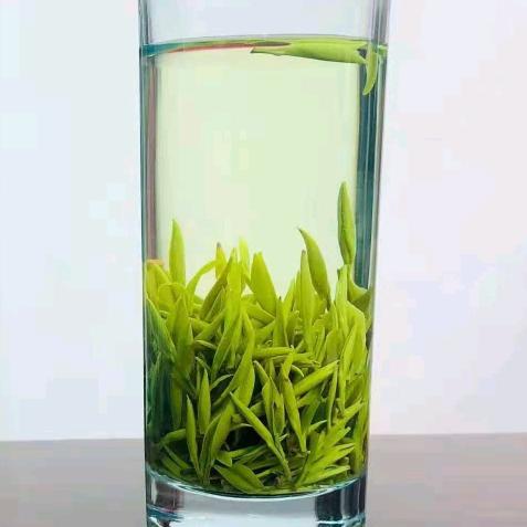 白茶之乡，安吉。mayanli