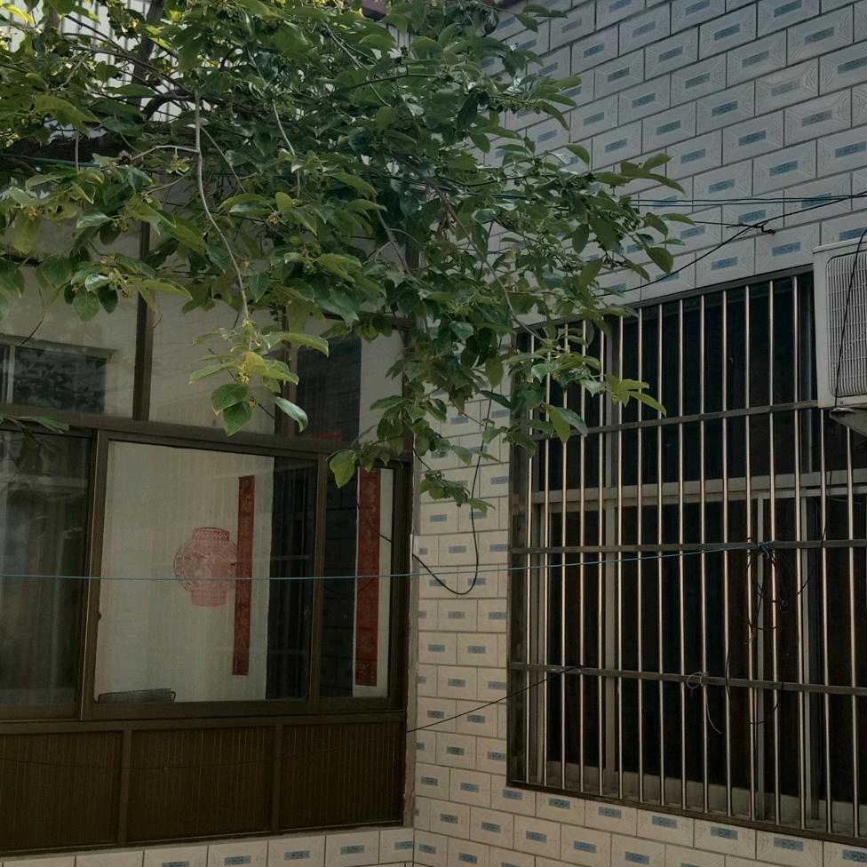 我就是我