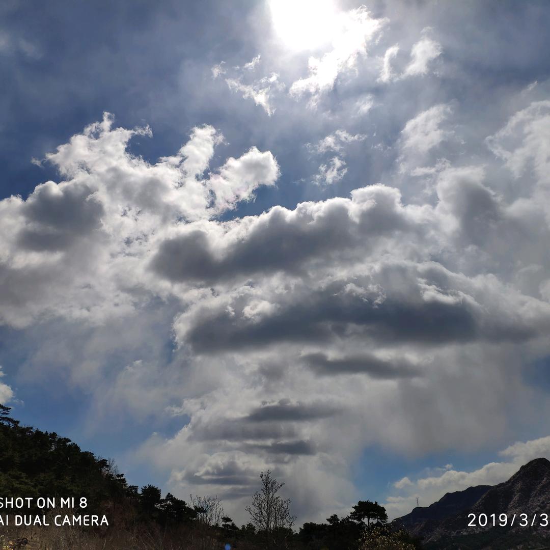 诺诺潼潼的斌爸