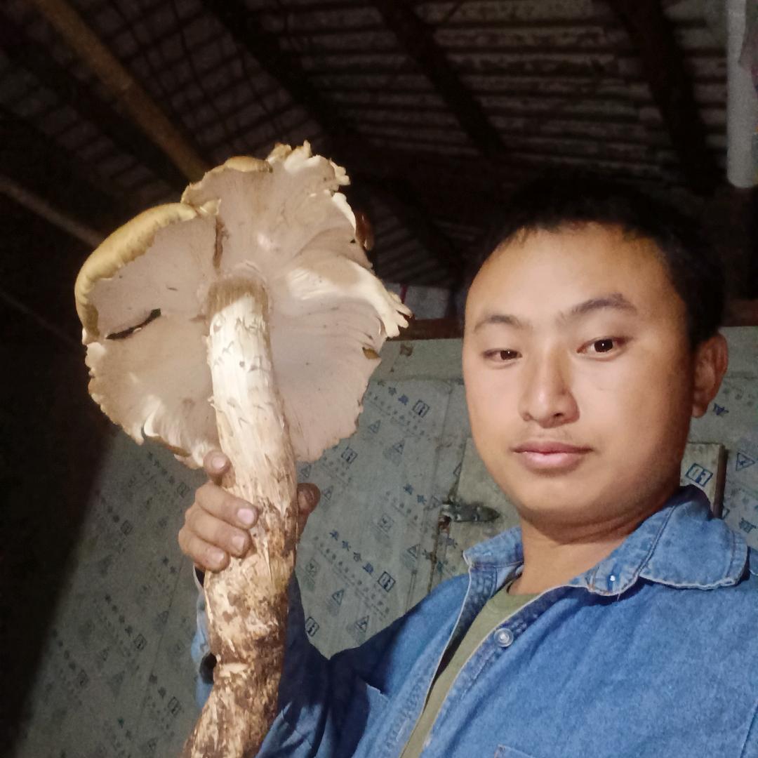 大自然般运工