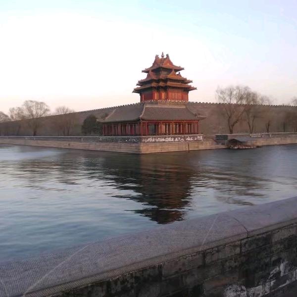 随风漂泊