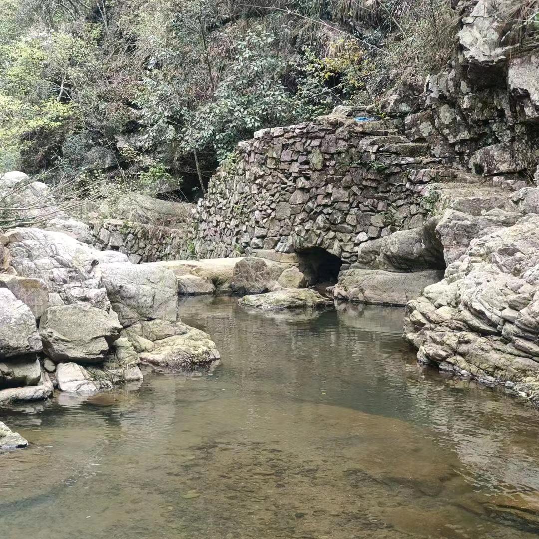 近山靠山