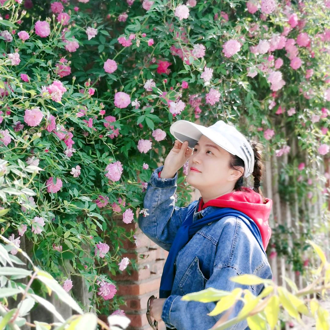 紫藤花