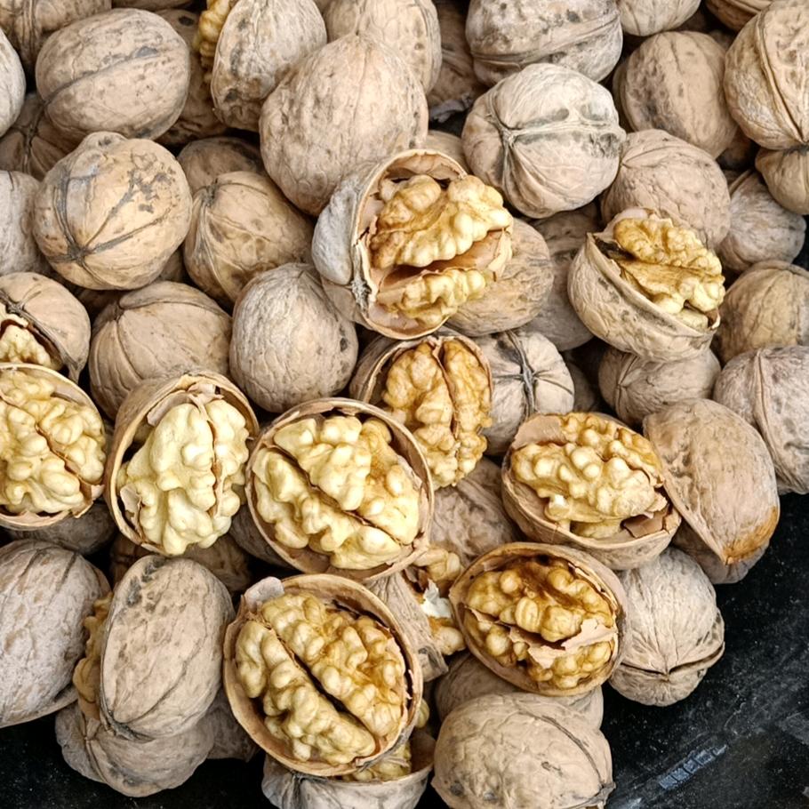 核桃(李凯)