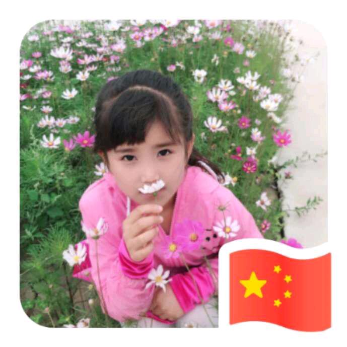 金枝玉叶